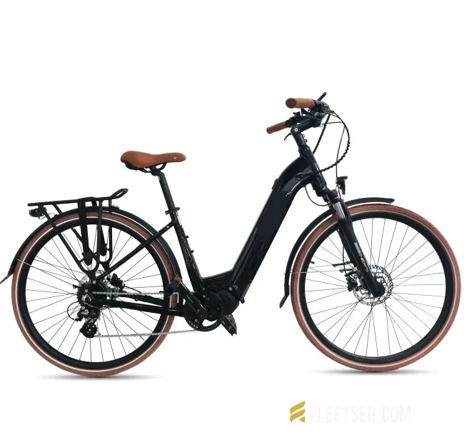 Consumer E-bike (Brand new!)