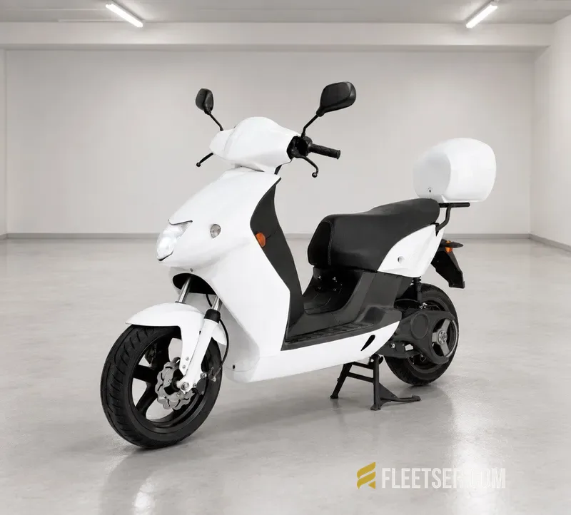 GOVECS S1.5